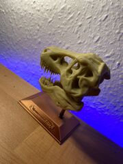 IMG_2056.JPEG