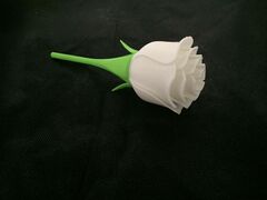rose.jpg
