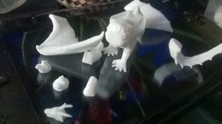 WP_20170204_006.jpg