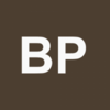 Best Practice Logo