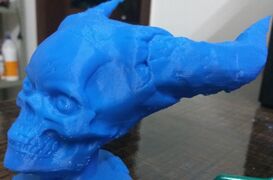 IMG_20161123_001910.jpg