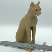 fullsizeoutput_378d.jpeg