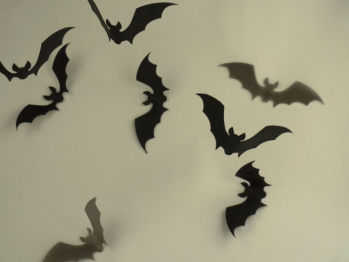 Flat Bats