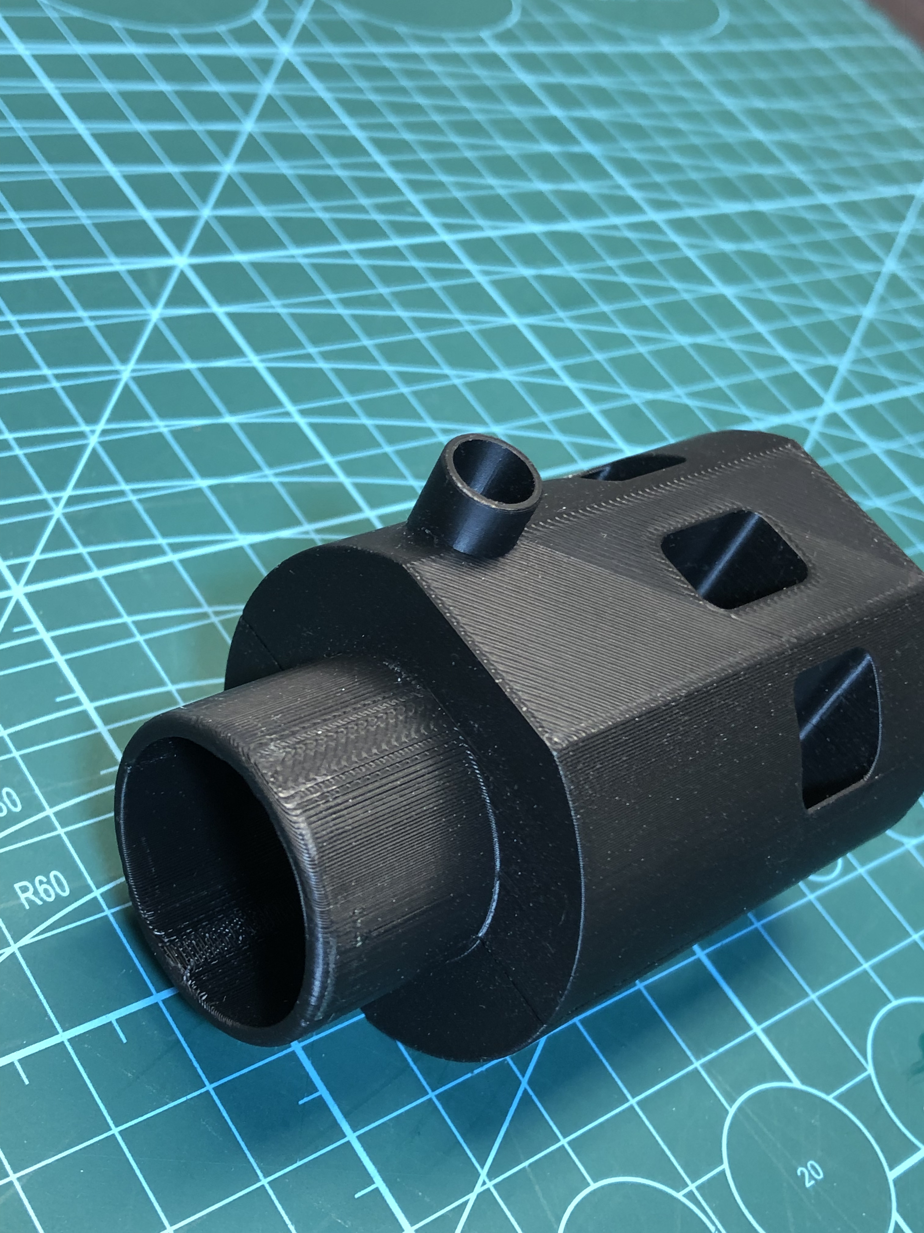 IMG_8798 – kopija.jpg