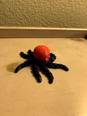 IMG_8531.jpg