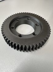 IMG_0085.jpeg