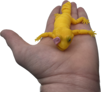 Subject.png