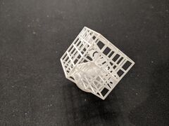 PXL_20210829_114839642.jpg