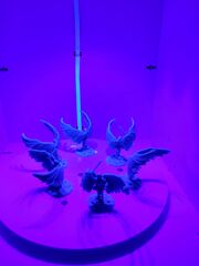 20210415_230321.jpg