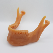 Print Jaw resin right side.png