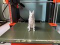 Matt&#039;s 3D Studio 3D printing photo