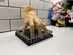 IMG_8266.jpeg