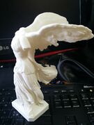 IMG_20180603_084207.jpg