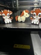IMG_6435.jpeg