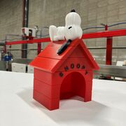 IMG_9798.jpg