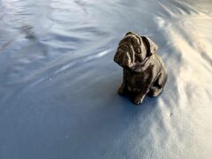 IMG_8625.jpg