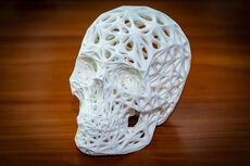 Skull Angle JPEG.jpg