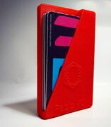 Cartera Grande.JPG