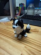 IMG_4071.jpeg