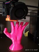 IMG_20191103_182738_BURST3.jpg