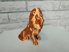 IMG_20190124_131531.jpg