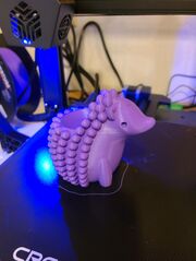 20200911_074811.jpg