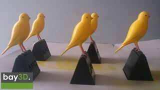 bay3d_canary.jpg