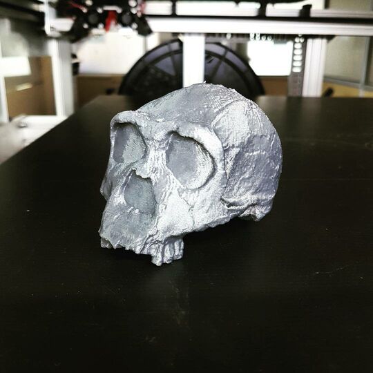 KNMER3733-Homo Erectus Skull