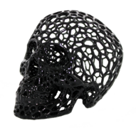 impresion 3D crâne en résine.png