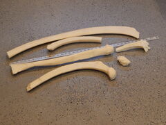 DSCN0787.JPG