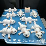 IMG_8702.jpeg