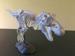 c3f5c1b2-d8d1-4733-858b-d5199bff6206_trex_14.jpg
