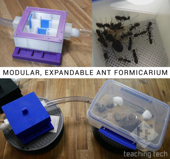 Modular, expandable ant formicarium