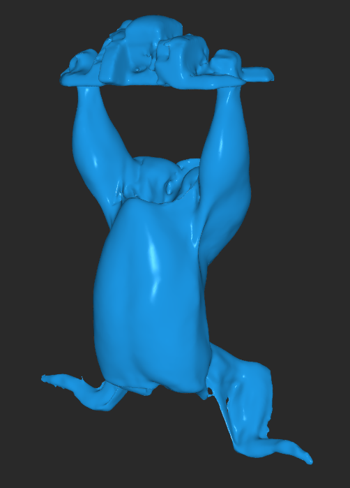 3D Scan - chicken - model.png