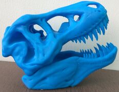 IMG_20161124_161028.jpg