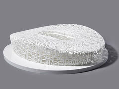 Beijing_Stadium_1.jpg