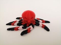 octopus_2.jpg