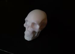 IMG_20210410_122830.jpg