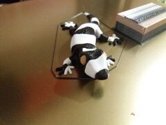 20190528_032951.jpg