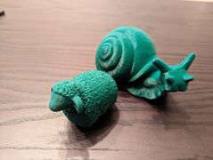 PXL_20230203_005129195.jpg