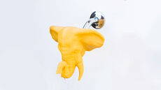 elephant-showerhead-small.jpg