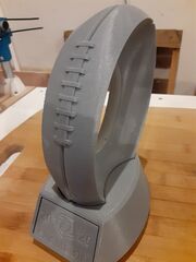 20201124_191849[1].jpg
