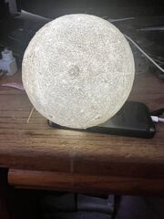 IMG_2786.jpeg