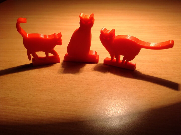 red cats on the table