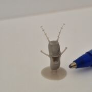 20231007_115052.jpg