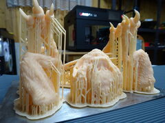 DSC00428.JPG