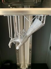 hand2.jpg