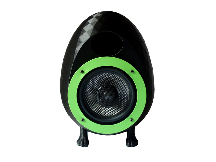 5" Inch Egg Speakers (DIY kit)