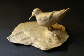 mouette.jpg