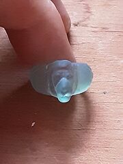20200829_193859.jpg